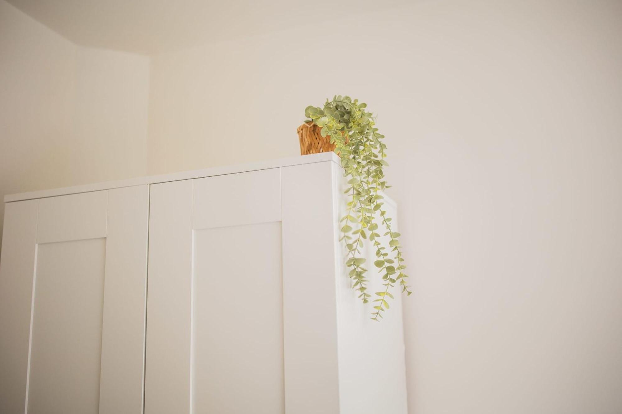 Amazing 50M2 Two-Bedroom Apartment - Ts307A アイントホーフェン エクステリア 写真